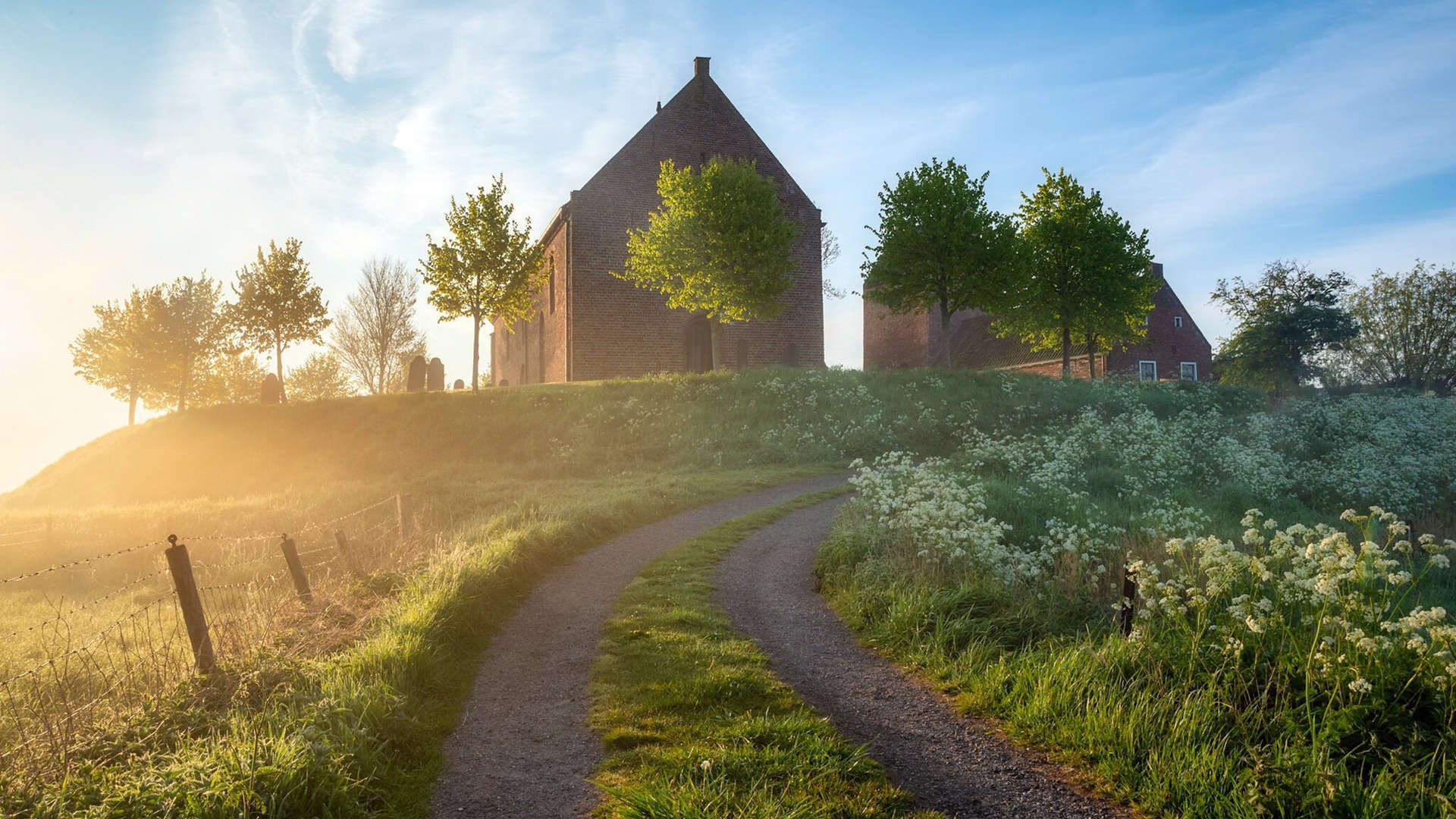 从雷克雅未克到麦迪逊广场，当足球铁血注入篮球基因，范戴克如何跨界接管NBA季后赛