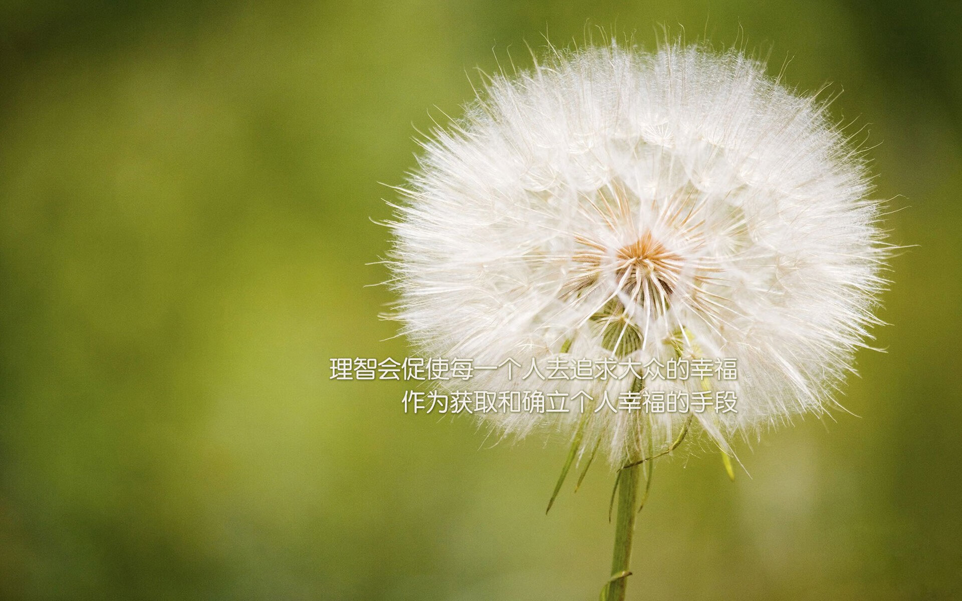 铁幕之下，唯一破茧，小贾伦用不可能的爆发为山西正名