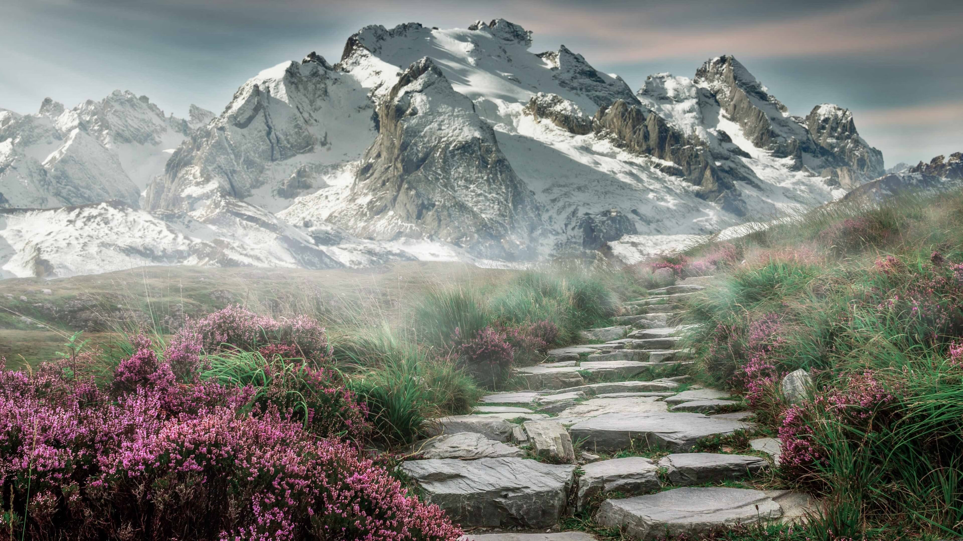 中场魔术师觉醒！若日尼奥导演逆转，塞内加尔三球翻盘智利