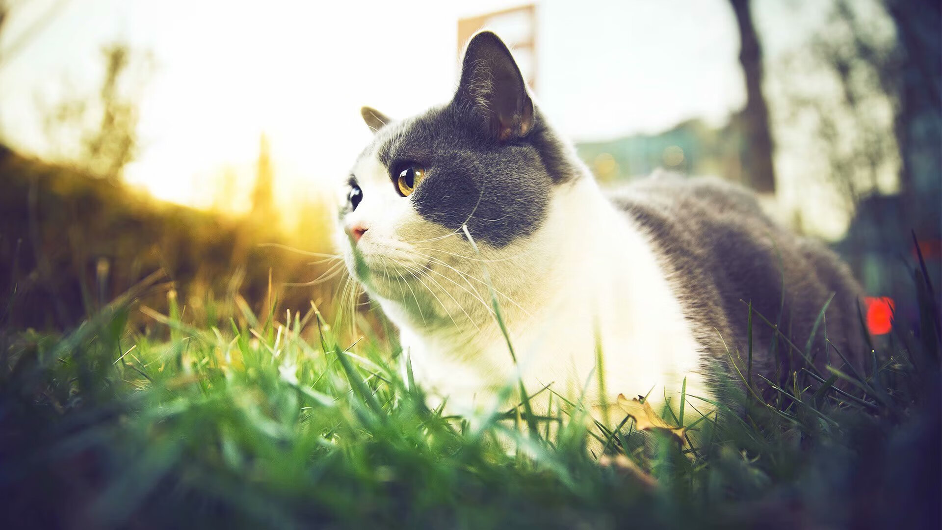 拉什福德进攻端如入无人之境，皇马末节发力逆转墨西哥豪门