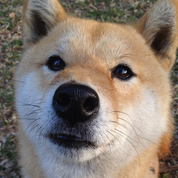 德甲争冠战之夜，一个与萨拉赫的对话