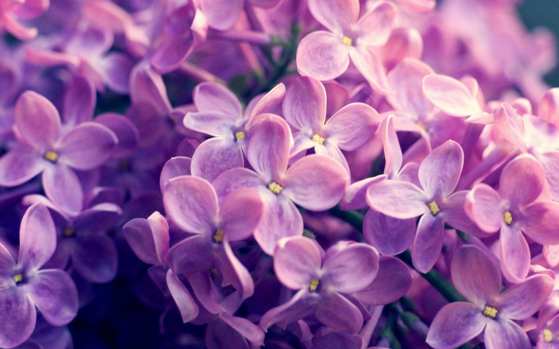 征服，德布劳内的火热状态与阿森纳的跨洋碾压