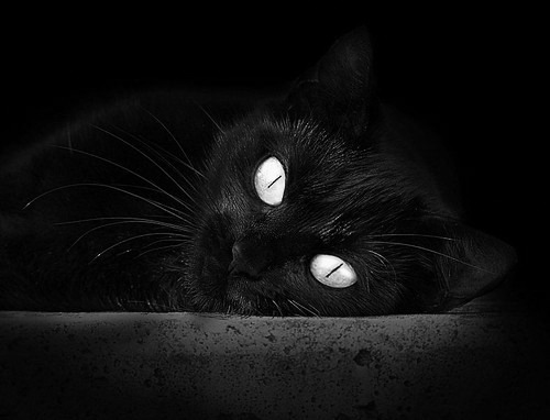 时间的英雄,当莫德里奇的关键制胜遇见埃及的鏖战