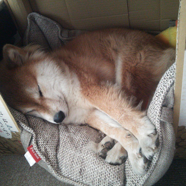 绝境、救赎与世界之巅的赌注，奥利维耶的84秒接管战争